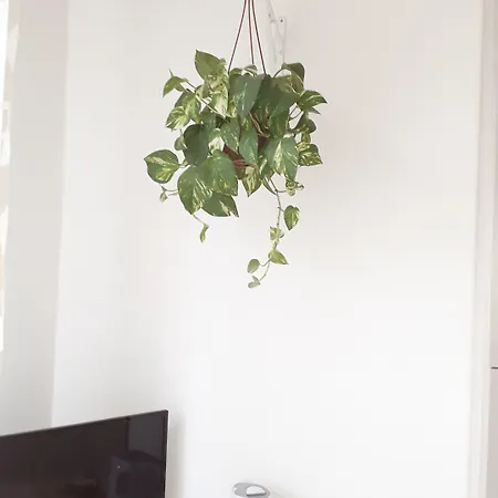 B&B La Rotonda 산레자로디사베나